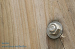 IMG_7841h