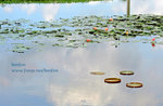 IMG_7935b