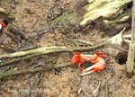 IMG_7945b