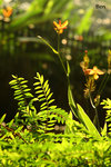 IMG_7684b