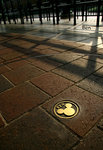 IMG_7721b
