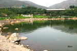 IMG_7798b