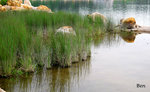 IMG_7816b