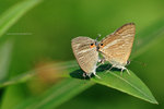IMG_2144re