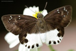 IMG_2746re