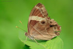 IMG_2759re