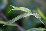 IMG_7757re
