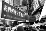 36_IMG_9967e