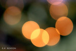 IMG_3823bre