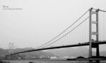 IMG_3236bw2