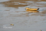 IMG_5517e