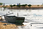 IMG_5561o