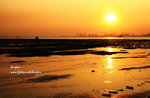 IMG_5680t