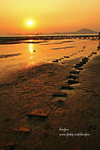 IMG_5692q