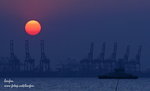 IMG_5735o