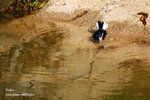 IMG_4023b