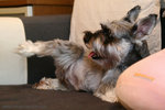 IMG_6707b2re
