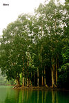 IMG_6664b2re