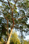 IMG_8190re