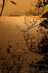IMG_8225re