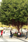 IMG_8252re