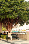 IMG_8256re