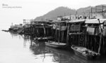 IMG_3991b