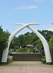 IMG_6009b