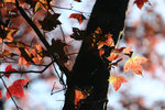 IMG_4164b