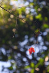 IMG_7053