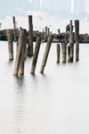 IMG_3471j