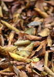 IMG_3561e
