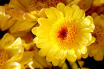 IMG_4432bre