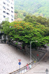 IMG_3795re