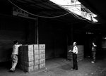 IMG_7228