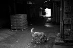 IMG_7237