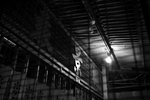 IMG_7239