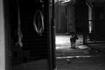 IMG_7271