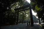 Image6