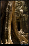JUN_3965_OUT copy