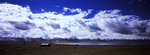 xpan5_resized_800