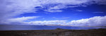xpan7_resized_800