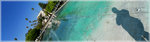 CALPOLY COLLEGE ���~�M�ڻD��X�֪L���b������~~