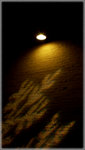 100_0589 copy