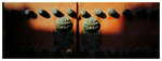 12020008 copy_R