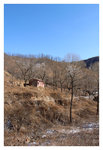 R0016020 copy_R