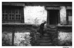 tibet_bw001