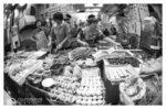 HP5 020 copy