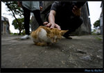 JUN_1632_OUT copy