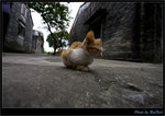 JUN_1636_OUT copy